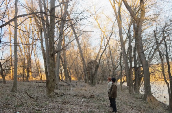 Golden walk (photo by Amy barley)