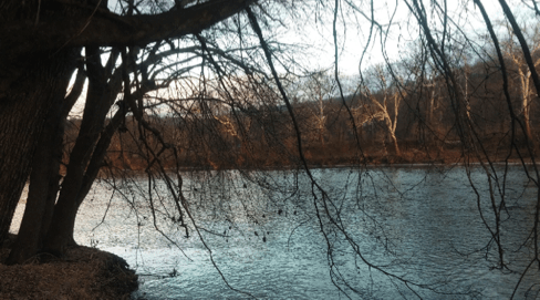 Screen Shot 2015-01-25 at 5.59.44 PM